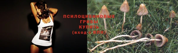 mix Баксан