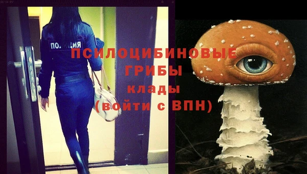 крисы Балахна