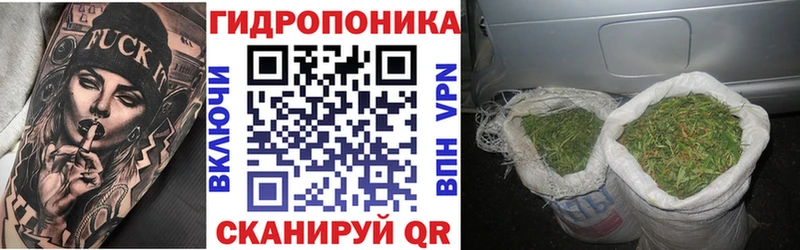 Канабис White Widow  где можно купить наркотик  Городище 